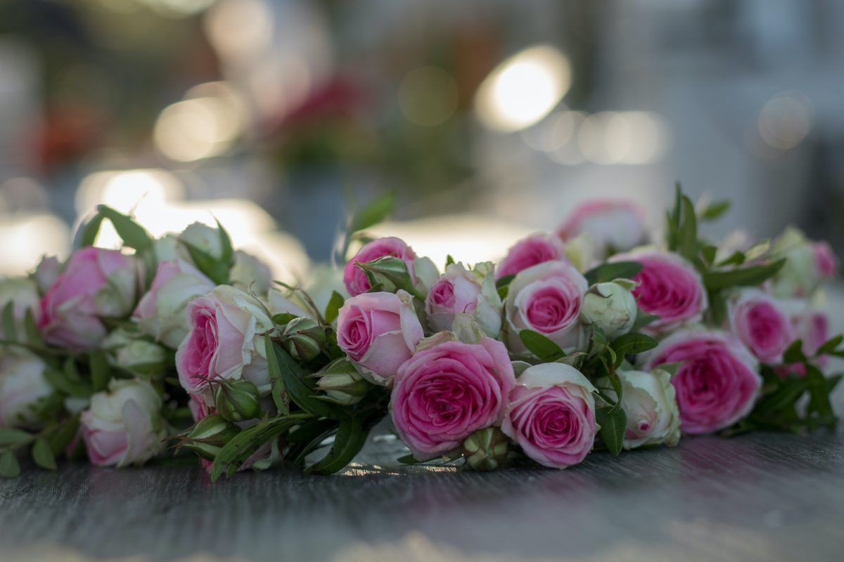 Hochzeit am Tegeler See